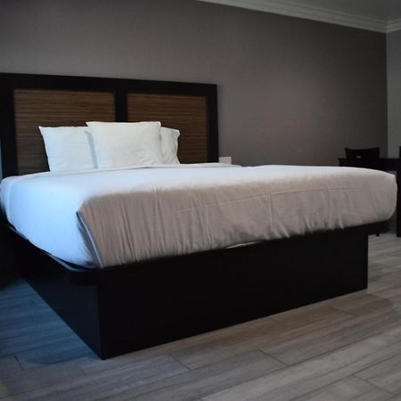 Willow Tree Inn & Suites 로스앤젤레스 외부 사진