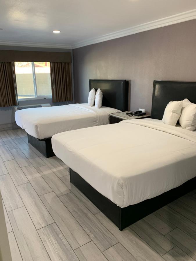 Willow Tree Inn & Suites 로스앤젤레스 외부 사진