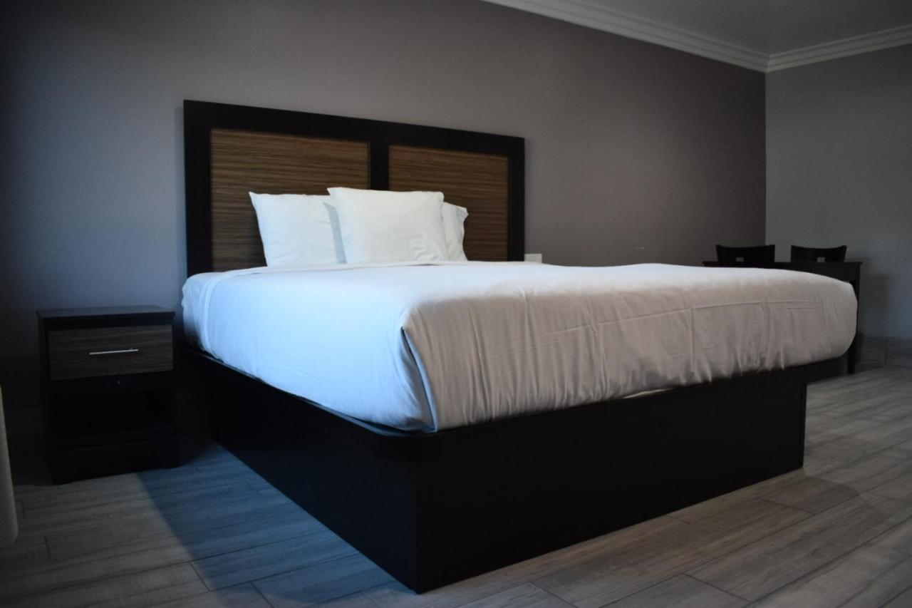 Willow Tree Inn & Suites 로스앤젤레스 외부 사진